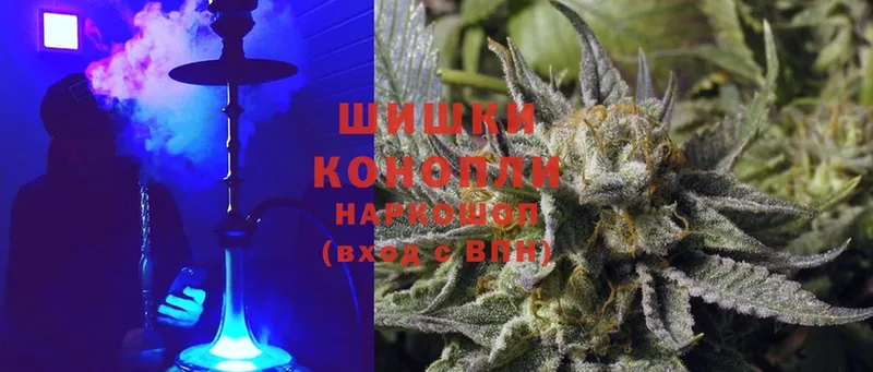 Канабис OG Kush  Малая Вишера 